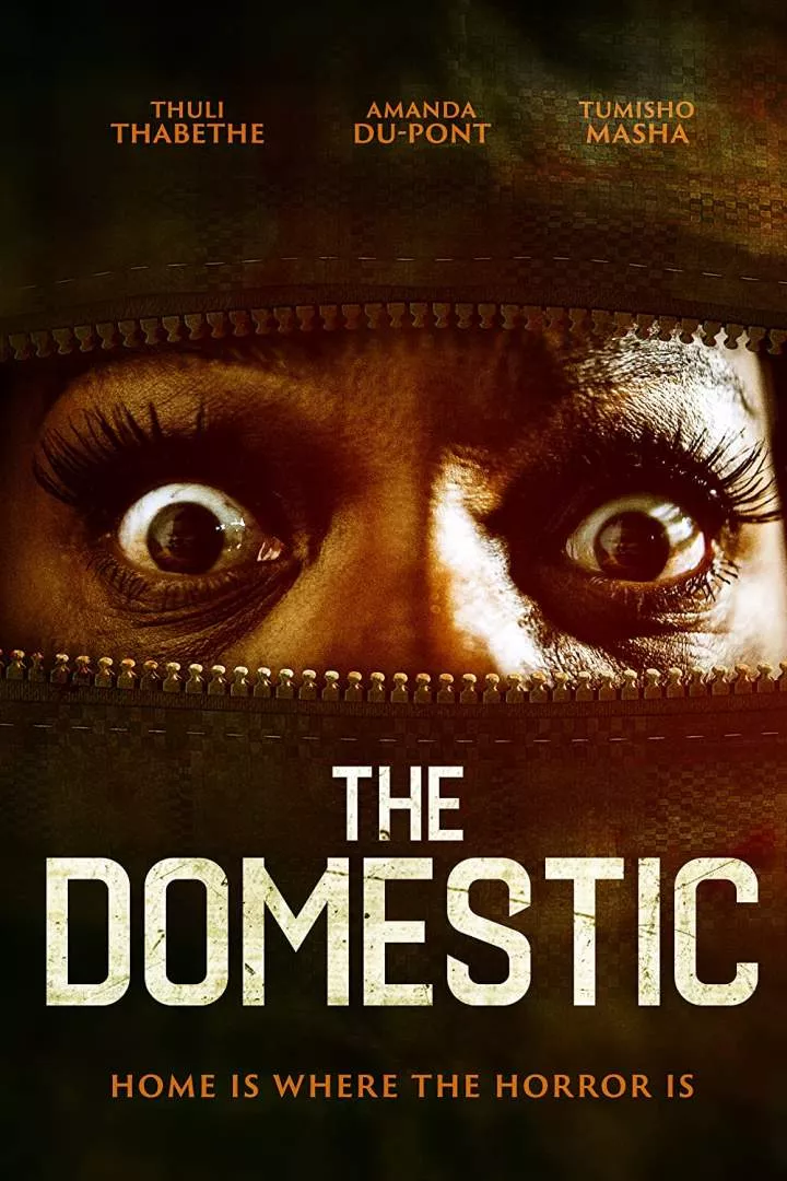 The Domestic (2022) 1 90ZNPYBQK8e