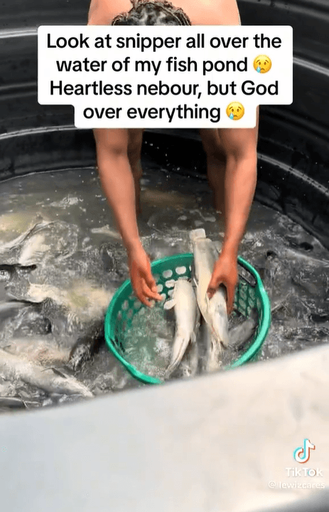 A farmer reported his neighbor to the authorities for allegedly killing his fishes by pouring insecticide into the pond. 1 Farmer gets his neighbour arrested for killng his fishes by pouring an insecticide in the pond 1712091648