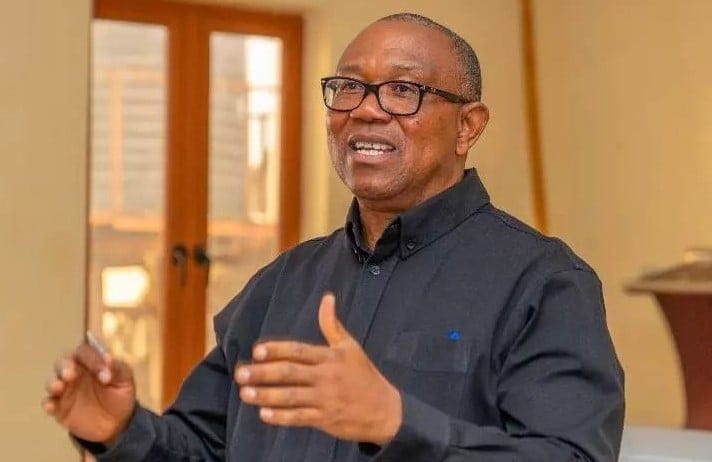 Mr Peter Obi has called on President Bola Tinubu to discontinue the Lagos-Calabar coastal highway project to save jobs for Nigerians 1 Peter Obi 1