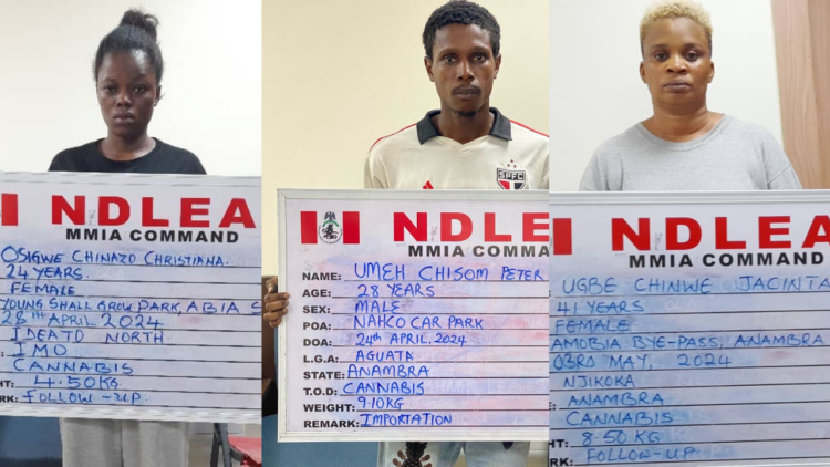 NDLEA Busts, Arrests 5 Members Of International Drug Syndicate 1 Untitled design 1 1 750x422 1 1