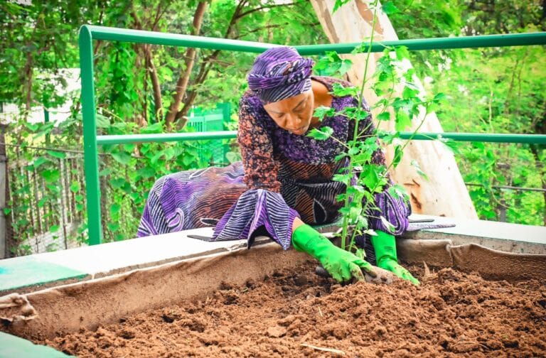 I grow vegetables; Nigerian women should get involved in farming — First Lady, Oluremi Tinubu 1 20240706 215652 768x504 1 1