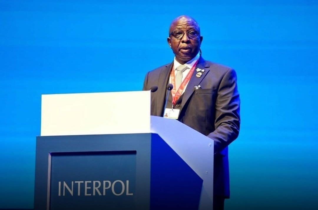 Thousands of dollars flown out of Nigeria every hour – INTERPOL 1 20240730 094728