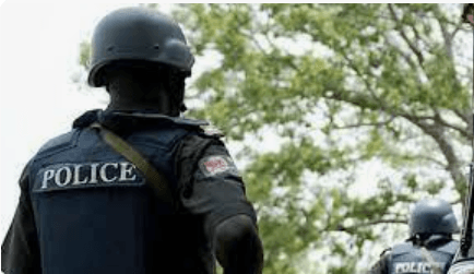 Police arrest man for allegedly advocating violent protest on TikTok 1 A Nigerian police officer 1