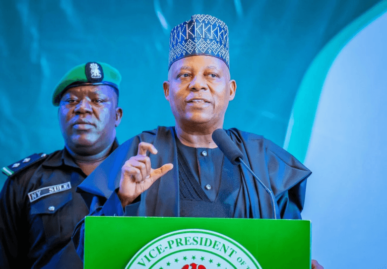 FG generated 300,000 businesses, created one million jobs in one year — VP Shettima 1 image 90 768x534 1 1