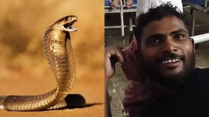 Indian man bites snake to death after it attacked him in his sleep. 1 images 40 2