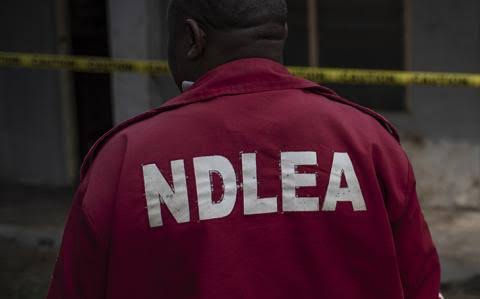 NDLEA seizes U.S. and Europe-bound illicit drugs concealed in shoe, and clothes in Lagos. 1 images 43