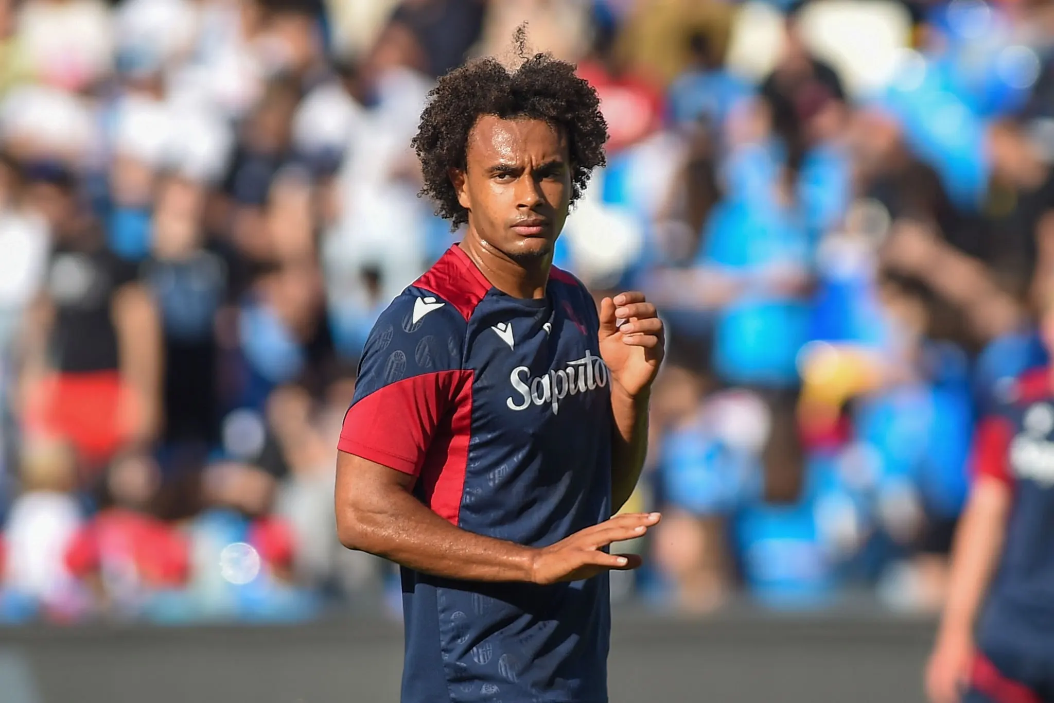 BREAKING: Manchester United have agreed a deal to sign Bologna forward Joshua Zirkzee 1 licensed image