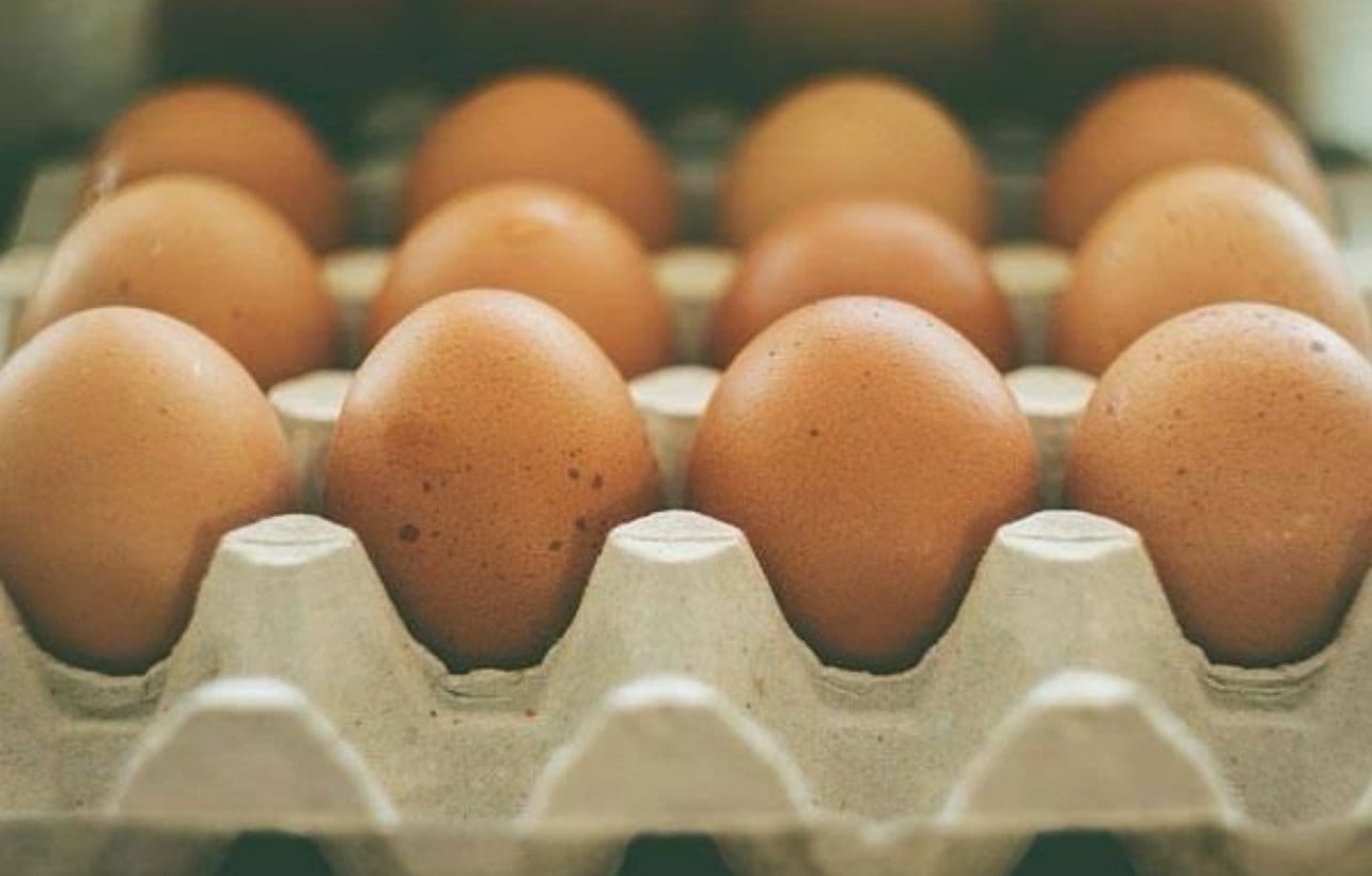 BREAKING: Price of egg to hit N10,000 per crate – Poultry farmers 1 20241013 124414