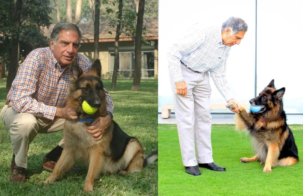 Indian billionaire Ratan Tata names dog as beneficiary of £91 million estate 1 20241029 123743