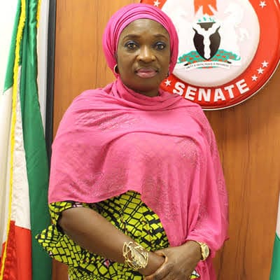 Tinubu’s administration not responsible for current hardship — Senator Ekwunife 1 images 28