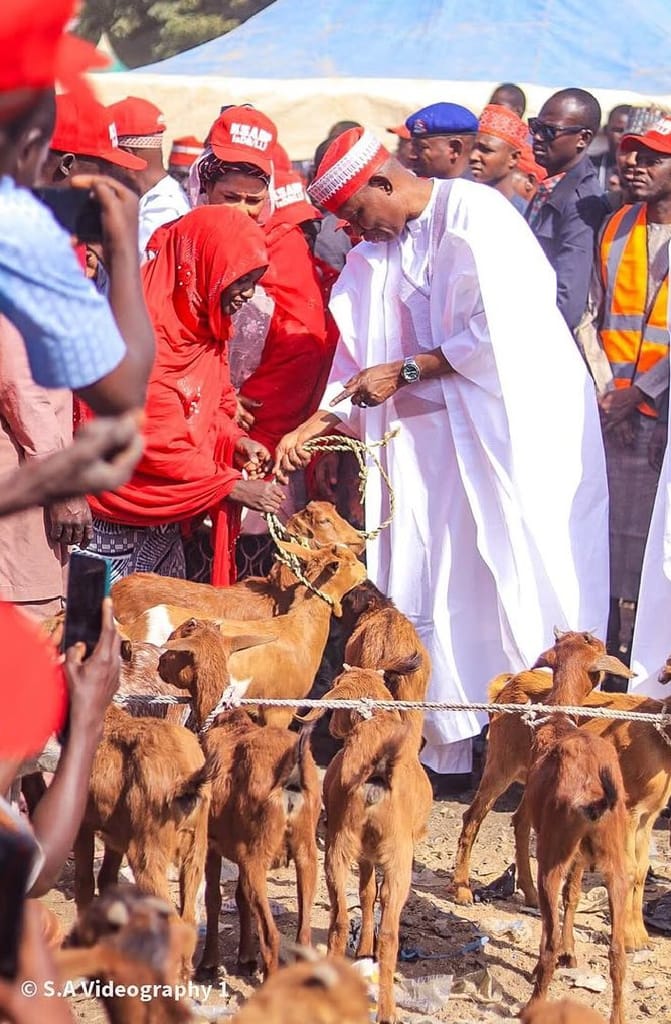 Jubilation in the north as Kano governor empowers over 2300 women with 7,158 goats. 1 1737549591007