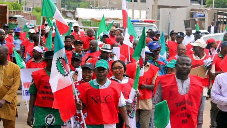 NLC demands withdrawal of tax reform bills, seeks wage review 1 images 18